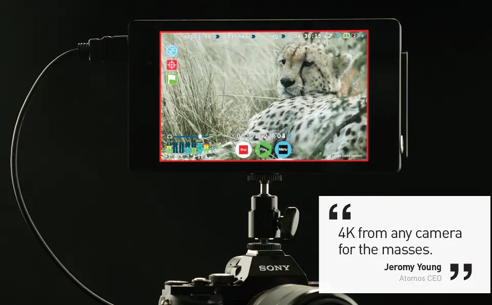 Atomos Shogun Sony A7s