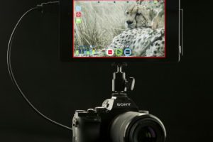 Some Sony A7S and Atomos Shogun 4K Footage For Your Consideration