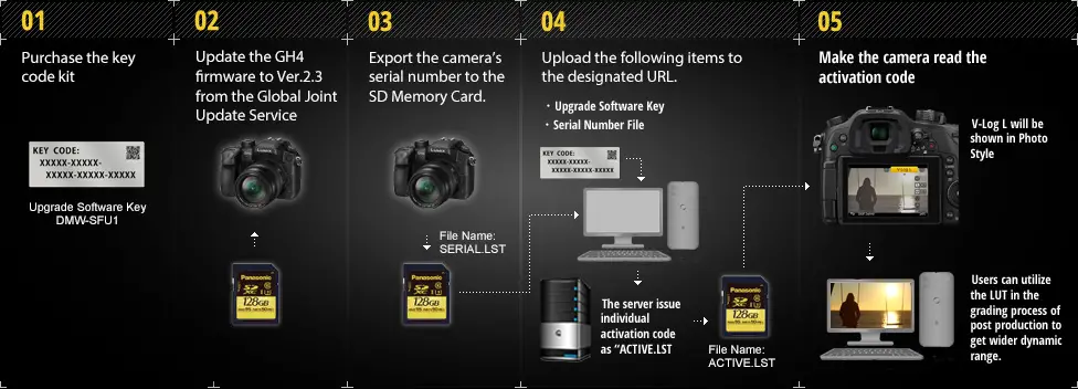 Upgrade_to_GH4_V_Log_Profile