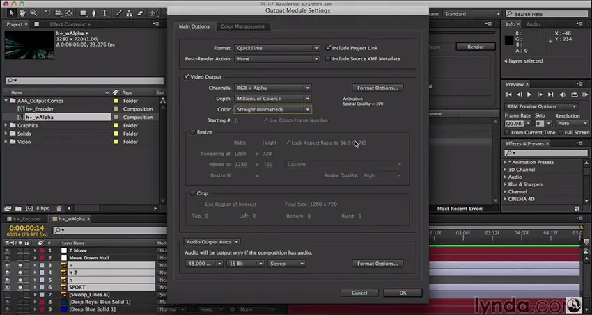 After_Effects_Animated_Graphics_Render_Settings_04
