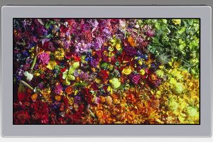 Japan Display Inc Has Announced the World’s First 17-inch 8K LCD Display