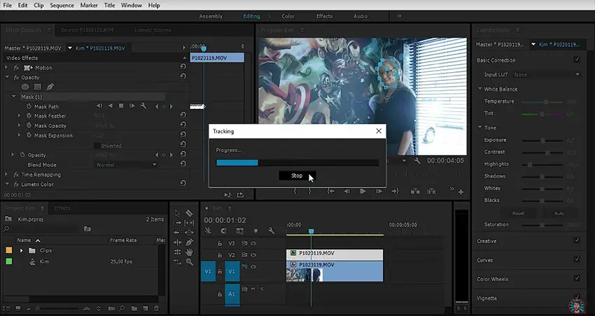 Color Correcting Moving Objects in Premiere Pro CC | 4K Shooters