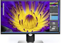 Dell Introduces Five New Cutting Edge Monitors For Creative Professionals