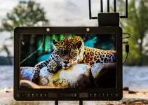 The New HDR Production Monitors from SmallHD Are Apparently Indestructible