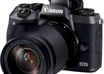 Canon EOS M5 Has a In-Camera Image Stabilization and Super-Fast AF, But What About 4K?