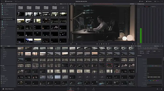 davinci_resolve_12-5-2_raw_media