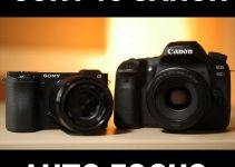 Canon 80D Dual Pixel Auto Focus vs Sony A6500 Hybrid AF System Real-World Comparison