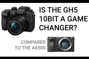 GH5 10-bit vs Sony a6500 8-bit Video – Can You Spot the Differences?