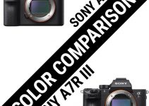 Comparing the Sony A7RIII and A7RII Colors When Shooting Video