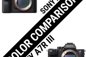 Comparing the Sony A7RIII and A7RII Colors When Shooting Video