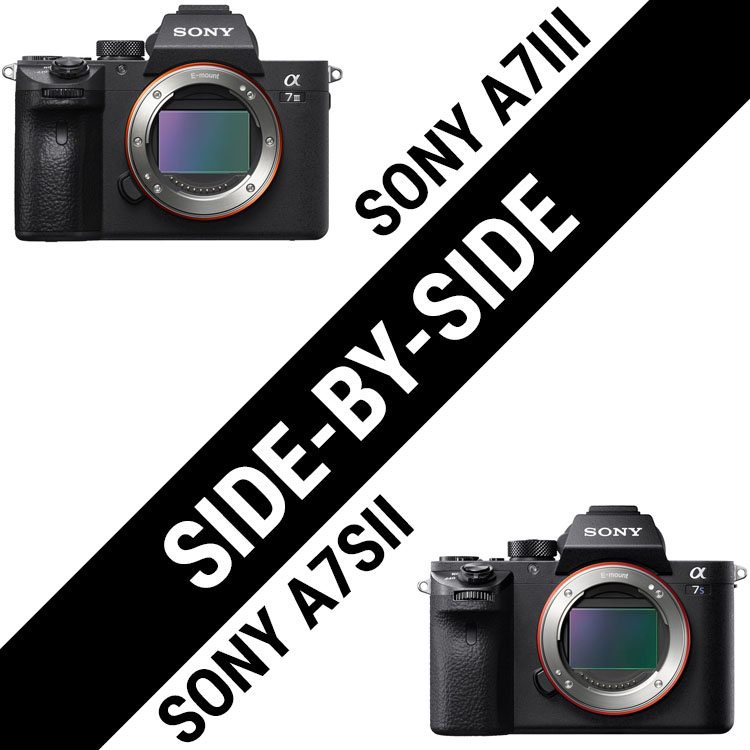 spille klaver Derivation berømt Sony A7 III vs A7S II - a Comprehensive Video Quality and Feature Set  Comparison | 4K Shooters