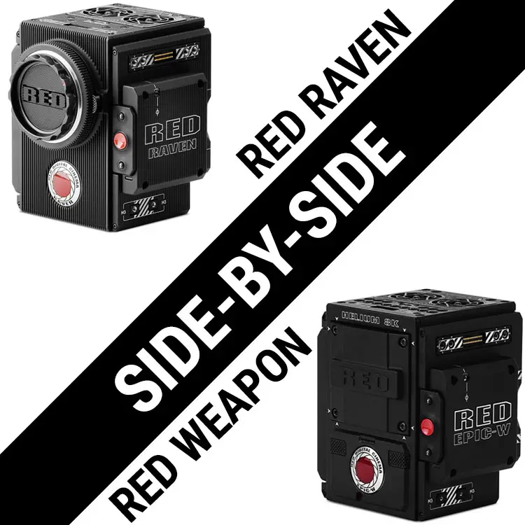 red raven dragon