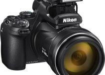 Nikon COOLPIX P1000 Can Zoom Into Your Soul with its Bonkers 125x Zoom