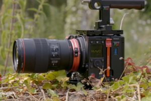 First Look at the Kinefinity MAVO + Sample Footage