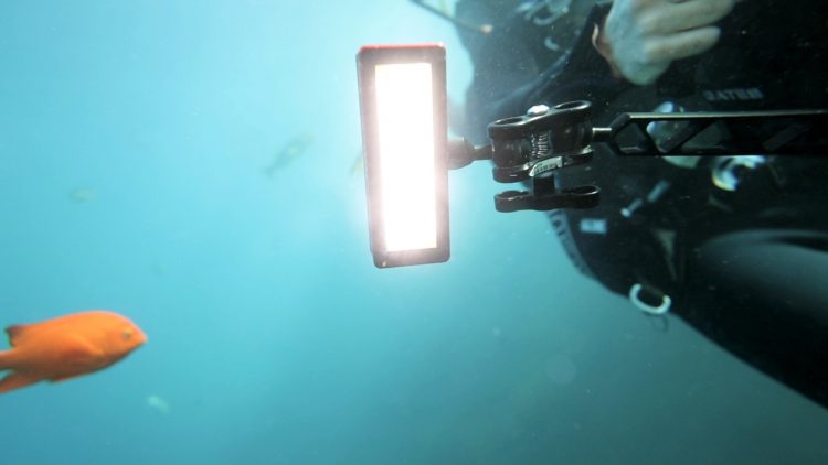 Aputure Amaran AL-MW Underwater LED