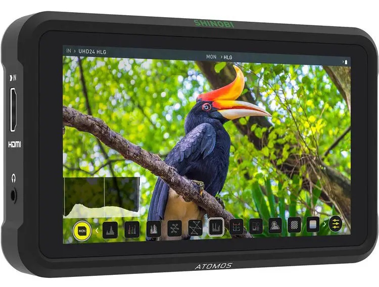 atomos shinobi 