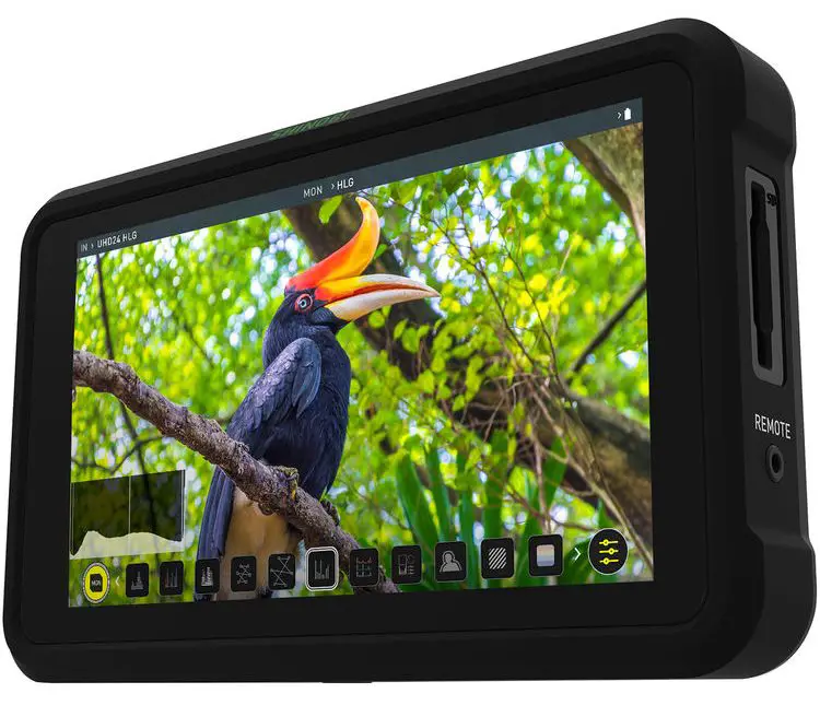 atomos shinobi 