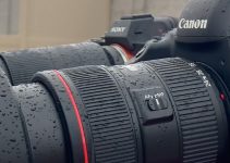 Canon 1DX Mark II vs. Sony A7III for Shooting Video