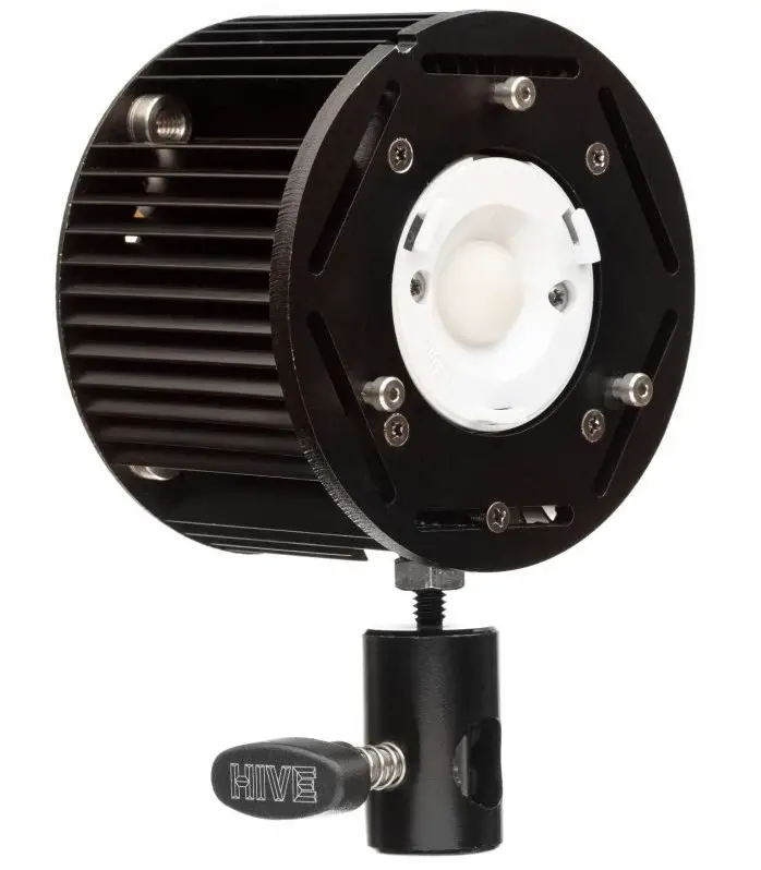 hive lighting bumble bee 25 c back