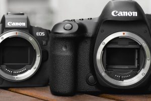Canon EOS R vs. 5D Mark IV – Which One to Pick for Video?