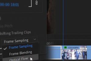 How To Remove Flashes From Video in Premiere Pro CC
