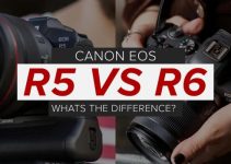 Canon EOS R5 vs EOS R6 – What are the Differences?