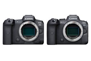 Canon EOS R5 and EOS R6 Get Enhanced Recognition of Subjects with Firmware v1.50