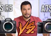 Should You Buy the EOS R5 or Wait for the A7S III?