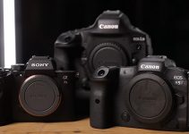 Canon R5 vs Sony a7S III vs 1D X Mark III – the Ultimate Video Shootout