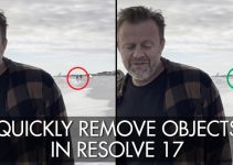 How to Quickly Remove Moving Objects in Resolve 17