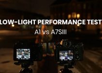 Sony Alpha 1 vs a7S III Low-Light Performance Comparison