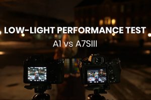 Sony Alpha 1 vs a7S III Low-Light Performance Comparison