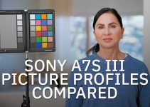 Side-by-Side Comparison of All Sony a7S III Picture Profiles