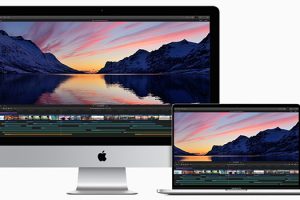 How to Improve Video Editing in Final Cut Pro Using Roles