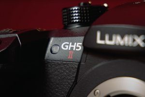 Panasonic GH5 II ISO Test + Low-Light Sample Footage