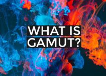 What is Color Space or Gamut?