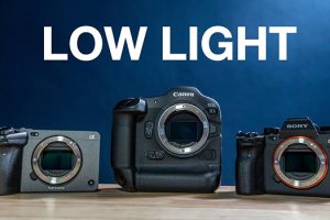 Canon R3 vs Sony a1 vs Sony FX3 Low-Light Tests