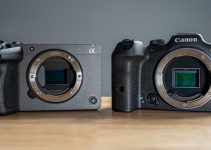 Sony FX30 vs Canon R7 for Shooting Video