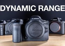 Canon R6 Mark II vs Sony a7 IV vs Canon R7 Dynamic Range Comparison