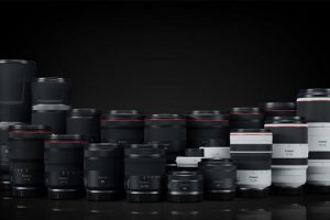 Four Best Budget RF Lenses for Your Canon Camera