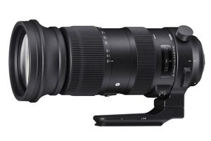 Rumor: SIGMA Readying 60-600mm F4.5-6.3 Z Mount Lens for Nikon