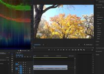 Adobe Updates Premiere and After Effects with New Color and Editing Features