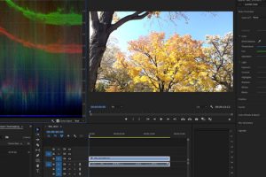 Adobe Updates Premiere and After Effects with New Color and Editing Features